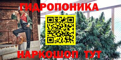 jwh Севастополь