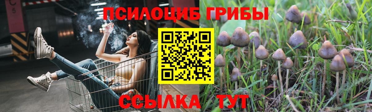 Новокубанск  где купить наркоту  Вход с VPN  Галлюциногенные грибы ЛСД 