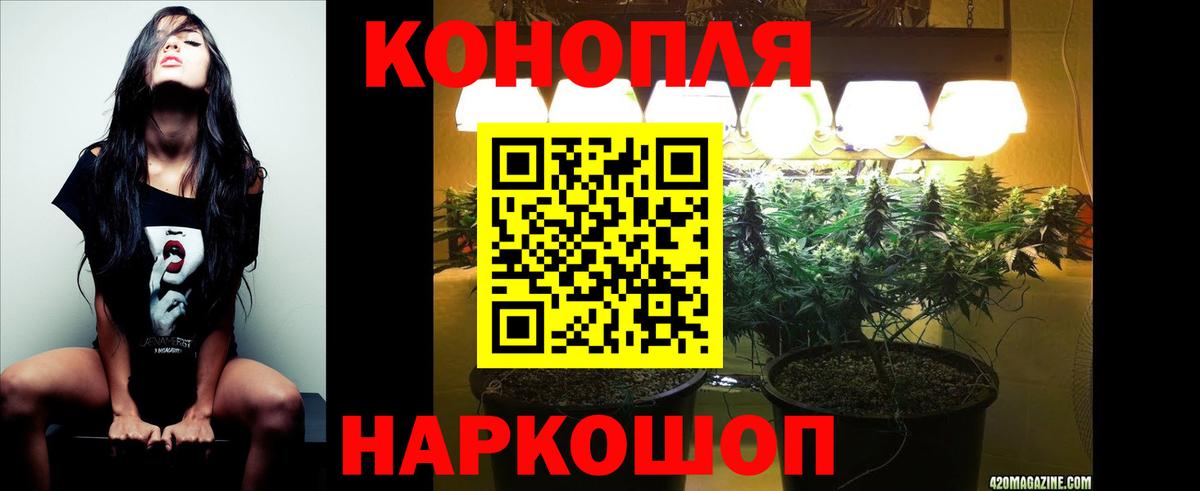 Конопля семена Новокубанск